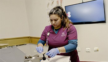 Sarai Vences